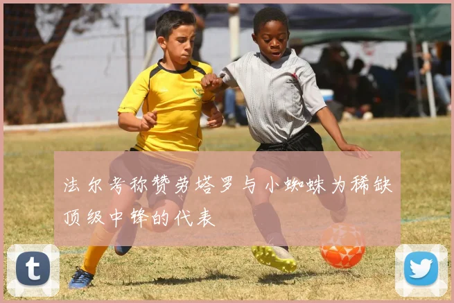 法尔考称赞劳塔罗与小蜘蛛为稀缺顶级中锋的代表